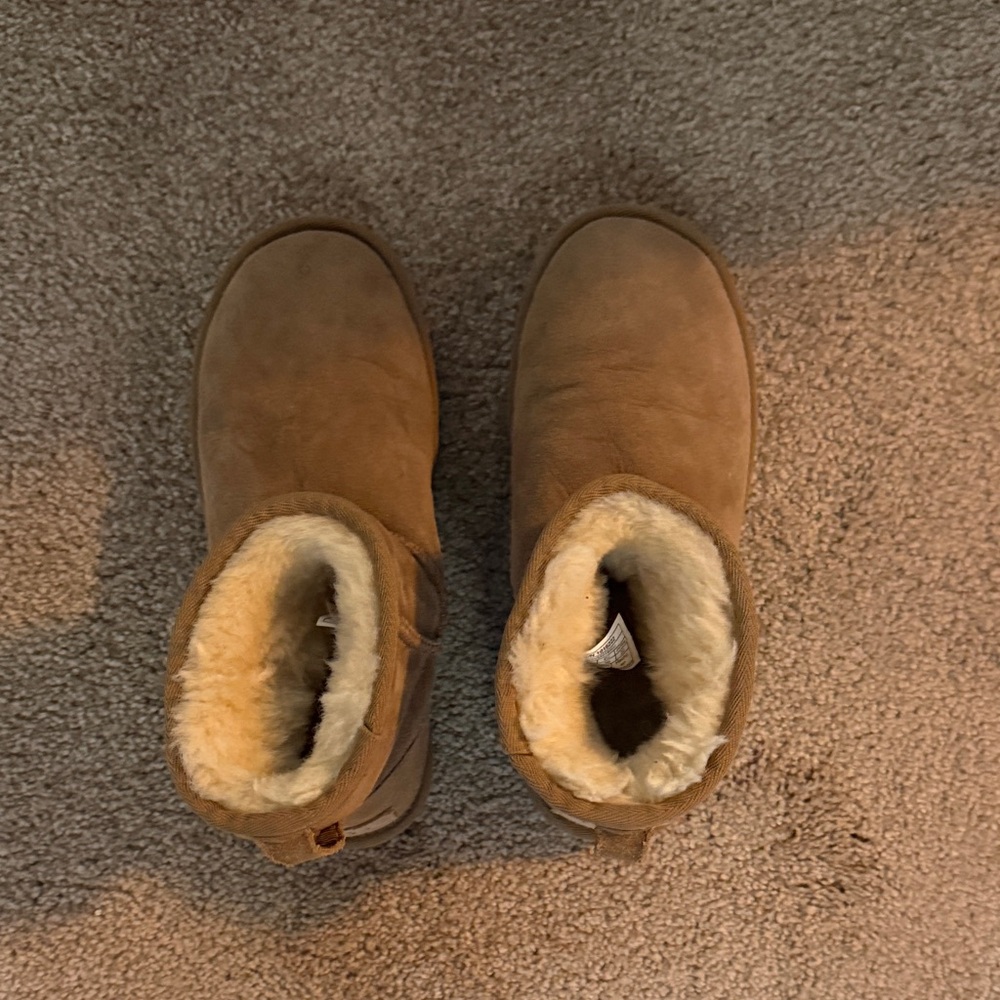 UGG Classic Mini chestnut color Sheepskin Boots